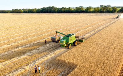 Top tips for farmers to prepare for a site visit