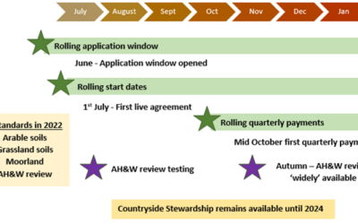 November Blog : Launch Meeting & ELMs Update