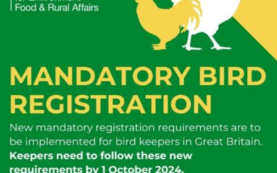 New measures to help protect poultry industry from bird flu
