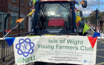 Wight Rural Hub’s December 2024 Newsletter is Now Available